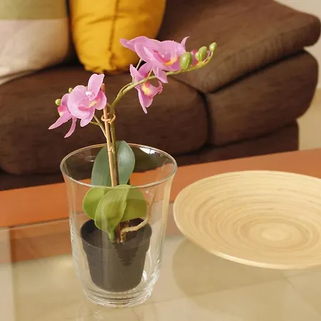 Playa De Canteras-mirador アパート *